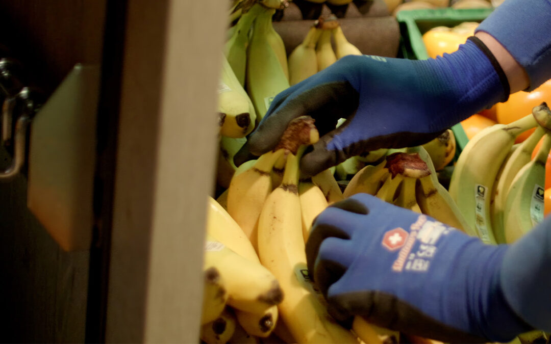 Nino Mai Arbeitsschutz GmbH: Medizinische Arbeitshandschuhe im Test